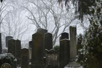 Jewish Cemetery Stockerau, Lower Austria