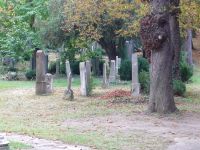 Baden_jüdischer_Friedhof_2.jpg