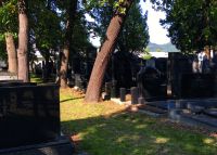 Jewish Cemetery Graz 2021