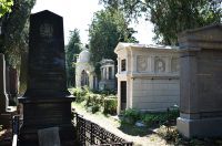 zentralfriedhof-abb-2-gepflegt.jpg