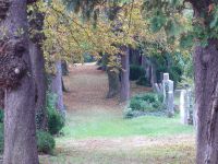 Baden_jüdischer_Friedhof_3.jpg